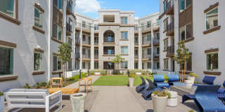 Alta Westwind Gallery 35