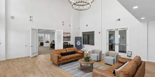 The Henry at New Forest Gallery 1