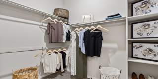 Axis Camelback Gallery 10