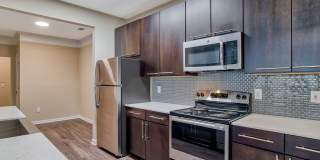 Windsor Johns Creek Gallery 12