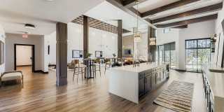 Citizen on Constitution Gallery 5