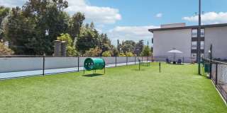 San Regis Apartments - Affordable Housing Gallery 6