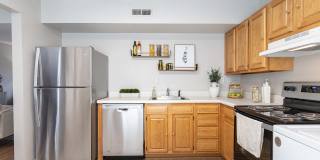 North Woods At The Four Seasons Gallery 2