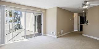 Ocean Club Gallery 24