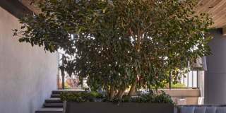 Alloy Alloy Gallery 15