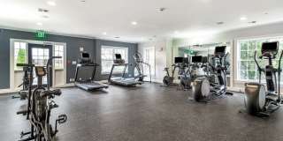 Sofi at Salem Station Gallery 16