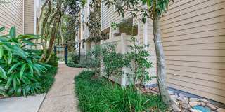 Chestnut Creek Gallery 22