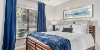 Palms on Scottsdale by Mark-Taylor Gallery 1