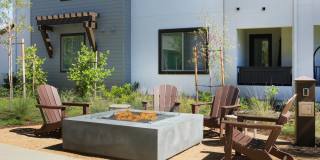 The Strand Gallery 44