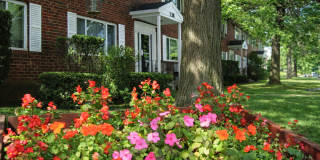 Harbour Point Gardens Gallery 17