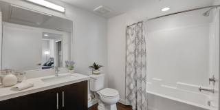 The Fifty Five Fifty Gallery 26