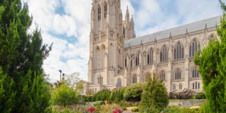 Alban Towers Gallery 50