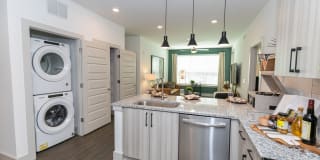 Sugarloaf Grove Gallery 12