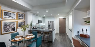 Stanza Little Italy Gallery 38