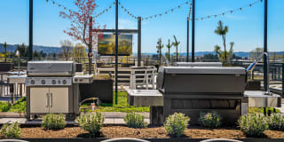 The Verge Gallery 15