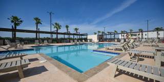 The Tree Apartments Gallery 27