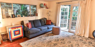 1769 Ivy Road Gallery 11