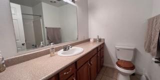 3 Br 2Ba House with Garage and fenced yard**FURNISHED** Gallery 18