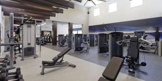 Avalon at Traville Gallery 20