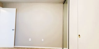 Twin Dolphins Gallery 21