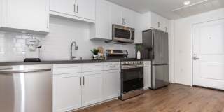 Vineyards Gallery 141