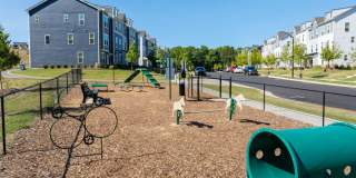 Affinity at Oak Hills Gallery 34