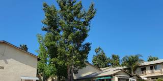 Sierra Heights- Senior Apartments Gallery 22