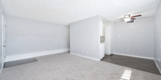 The Canopy Gallery 11