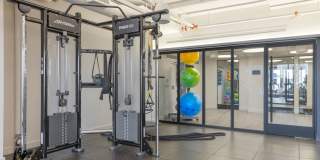 The Edmund Gallery 10