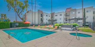 THE MODERN CACTUS Gallery 18