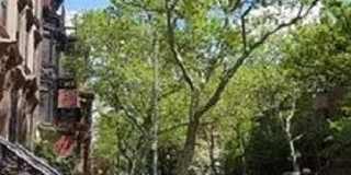 147 Amity Street Gallery 1