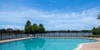 9130 LAKE CHASE ISLAND Way Gallery 23