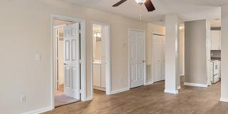 Pepperstone Gallery 12