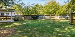 Gorgeous 3 Bedroom Ranch in North Raleigh, updated, pet friendly, fenced-in yard! Gallery 19