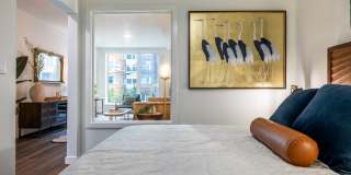Wayfarer Gallery 12