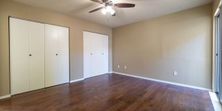 Updated Single Story in Brushy Creek Gallery 10