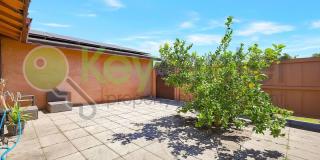 7137 Reyn Oaks Way Gallery 34