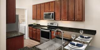 AVE Clifton Gallery 4