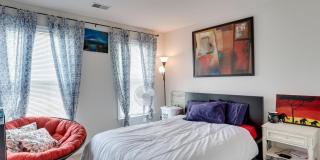 8250 RED CARNATION Court Gallery 30