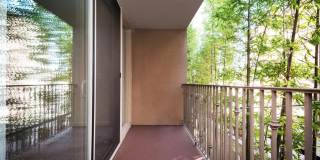 Elán Bella Mer Coronado Elán Bella Mer Coronado Gallery 12