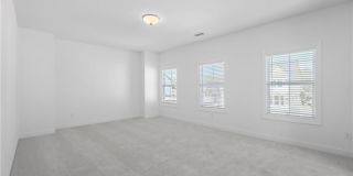 1042 Winding Branch Drive Gallery 47