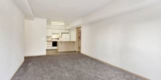 Heron's Nest Gallery 32