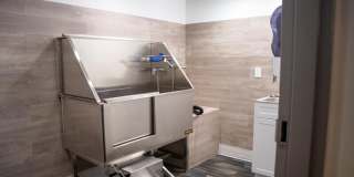 Netherland Gallery 34