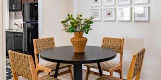 The Dakota at Druid Hills Gallery 24