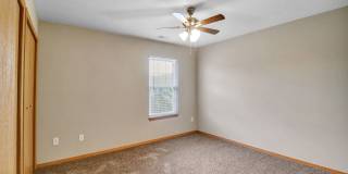 Sunset Woodland Gallery 16