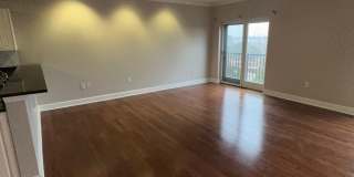 1 Bed, 1 Bath at Carolina Walk - Steps from Williams Brice Stadium! Gallery 11