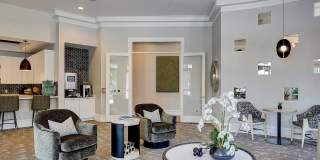 Solero at Plantation Gallery 13