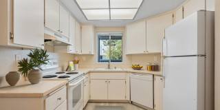 331 Shadow Run Dr Gallery 1