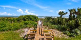Dolphin Beach Gallery 23