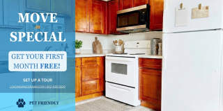 7018 N 76th Ave Gallery 1